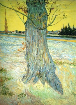 Trunk of an Old Yew Tree Vincent van Gogh Oil Paintings